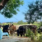 Holiday home La Maison Rose - Cote Terre By Melrose
