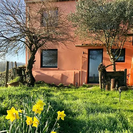 Holiday home La Maison Rose - Cote Terre By Melrose *