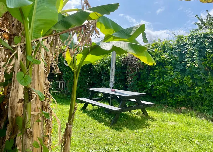 La Maison Rose - Cote Terre By Melrose Semesterbostad Saint-Côme-de-Fresné